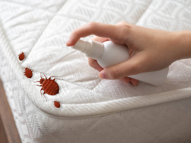 Best Bed Bug Extermination  in South Barrington, IL