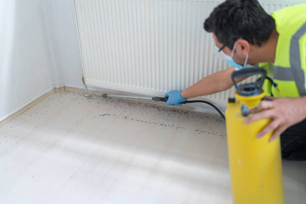 Best Best Pest Control Companies  in South Barrington, IL