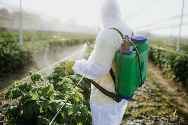 Best Best Pest Control Companies  in South Barrington, IL
